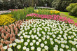 Botanical garden in spring. Keukenhof. Lisse. The Netherlands.