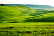 Countryside, San Quirico d`Orcia , Tuscany, Italy