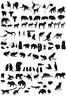 Animaux sauvages