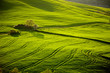 Foto: Countryside, San Quirico d`Orcia , Tuscany, Italy Countryside, San Quirico d`Orcia , Tuscany, Italy