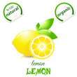 Vector Illustration Of Fresh L...