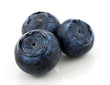Photo: Blueberry Blueberry