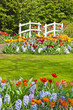 Flower garden with white bridge in spring. Keukenhof. Lisse. The