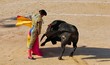 corrida