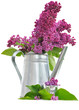 lilas et métal