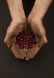 Beans in Soiled Hands