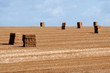 bale of straw