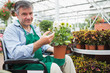 Man in a wheelchair holding a flower pot in a greenhouse
