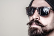 long beard and mustache hipster