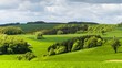 Meadows - Panning