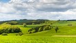 Meadows 4K