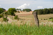 wooden  poles