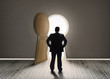 Buisnessman looking at keyhole shape door revealing light