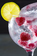 Gin tonic cocktail with raspberry and ice macro closeup