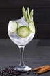 Gin tonic cocktail with cucumber and cinnamon and juniper