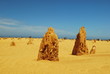 Pinnacle desert