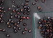 juniper berries macro detail closeup on black