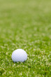 golfball auf dem rasen