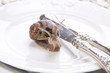 Foto: Lunch of Snails Lunch of Snails