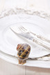 Lunch of Snails