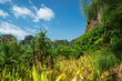 The island of phi phi leh Krabi, Thailand