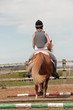 Trotting away