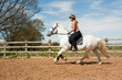 Canter work