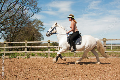Photo: Canter work Canter work