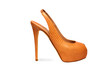 Foto: Female footwear-96 Female footwear-96