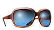 Sunglasses isolated on a white background. Vector illustration