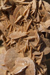 crystal mineral for gypsum collection