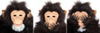 Gorilla Portraits present popular saying: See no evil...