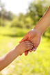 parent holds the hand of a small child