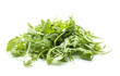 rucola