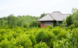 House on green Landscape