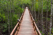 Into the forest