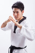 taekwondo action