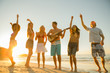 Group of friends having a party on the beach