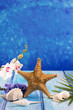 starfish seashells with hyacinth flower and white orchid