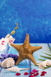 starfish seashells with hyacinth flower and white orchid