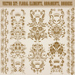Set of vector damask ornaments.