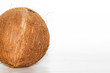 Coconut