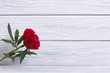 Wooden holiday frame with peony. text