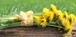 Photo: Dandelions bouquet lying on a wooden board Dandelions bouquet lying on a wooden board