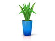 blue vase with flower