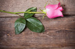 roses on wooden background