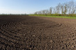 Ploughed field