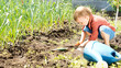 Little boy working in the garden