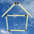3D ecology house of matches