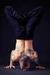 head over heels